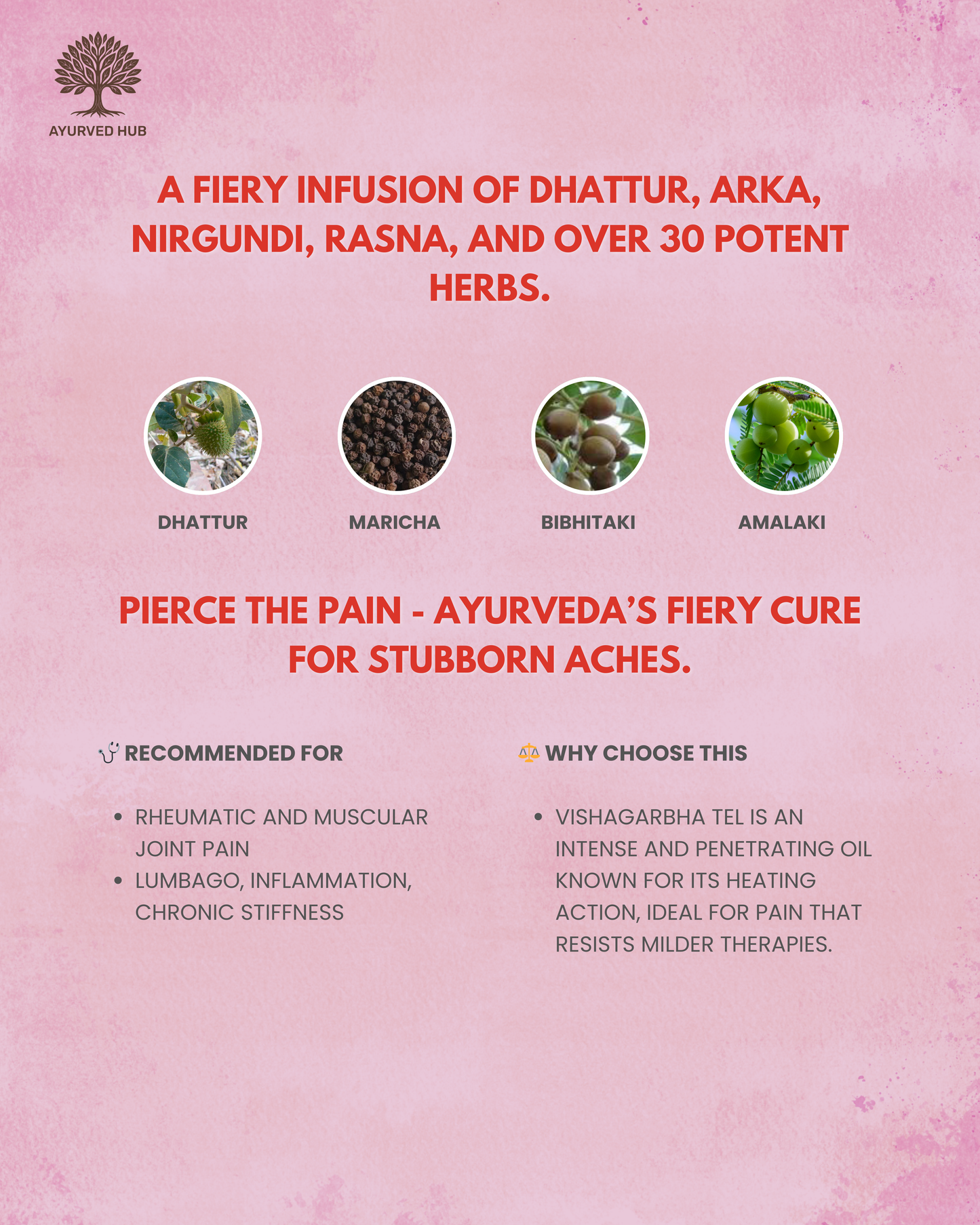 Vishagarbha Taila – Ayurvedic Pain Relief Oil for Joint, Muscle & Rheumatic Discomfort | Ayurved Rasashala ( 100 ml )