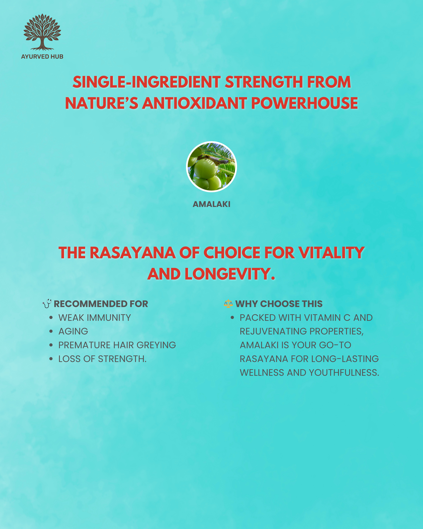 Amalaki Choorna – Rasayana Powder for Vitality & Longevity ( 50 gm ) ( Pack of 2 )